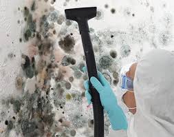 Best Environmental Consulting for Mold Prevention  in Pahoa, HI